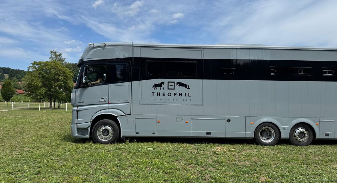 Pferde-LKW im Profil auf einer Wiese