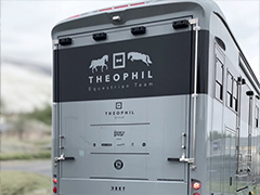 Neueste-Fotos-anzeigen